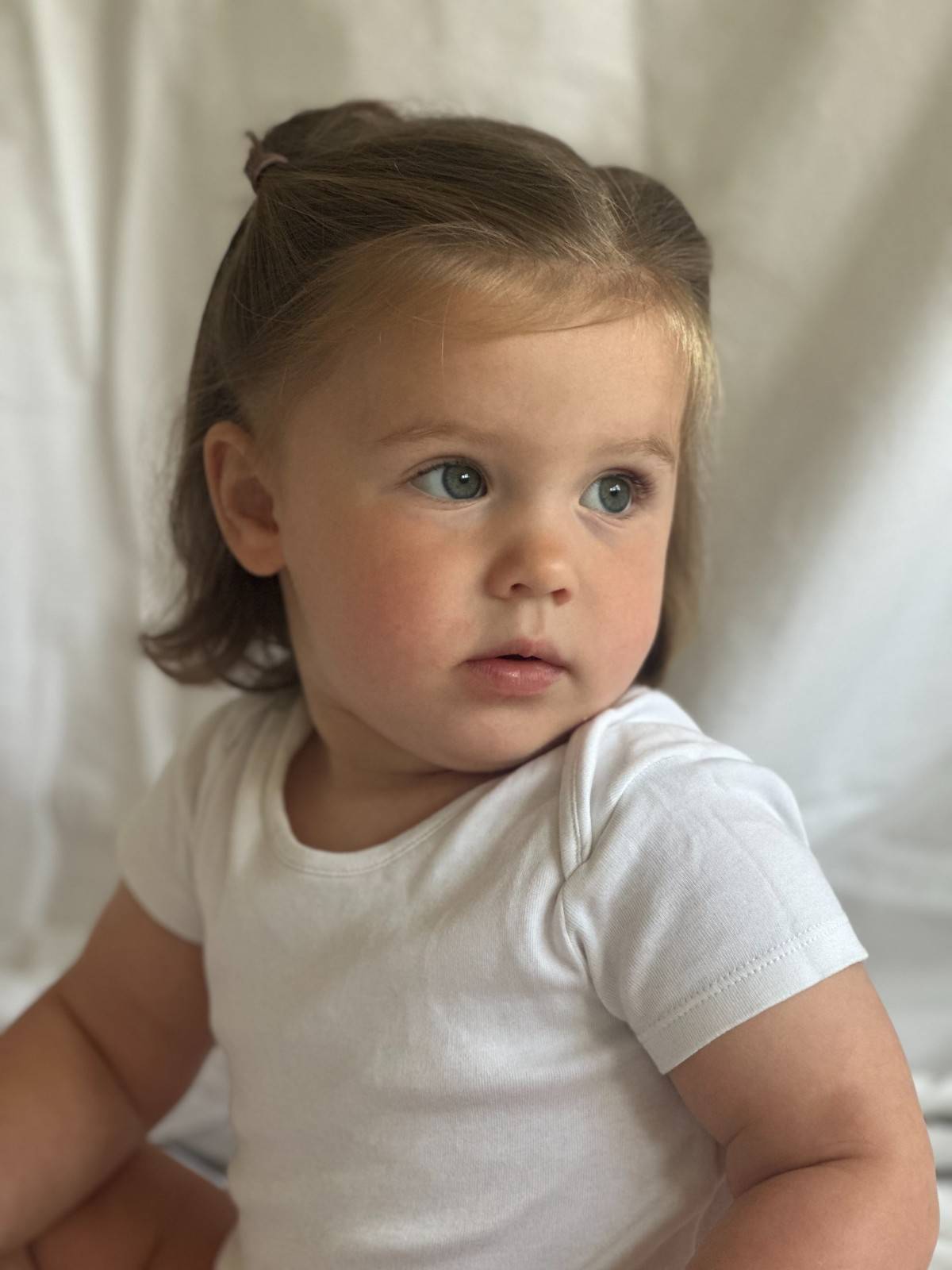 Profile photo of Map